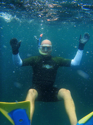 Channel Islands Snorkeling Channel Islands Snorkeling