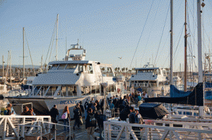 How to prevent sea sickness