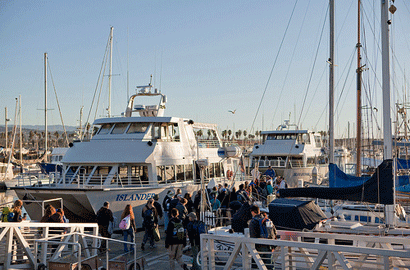 How to prevent sea sickness