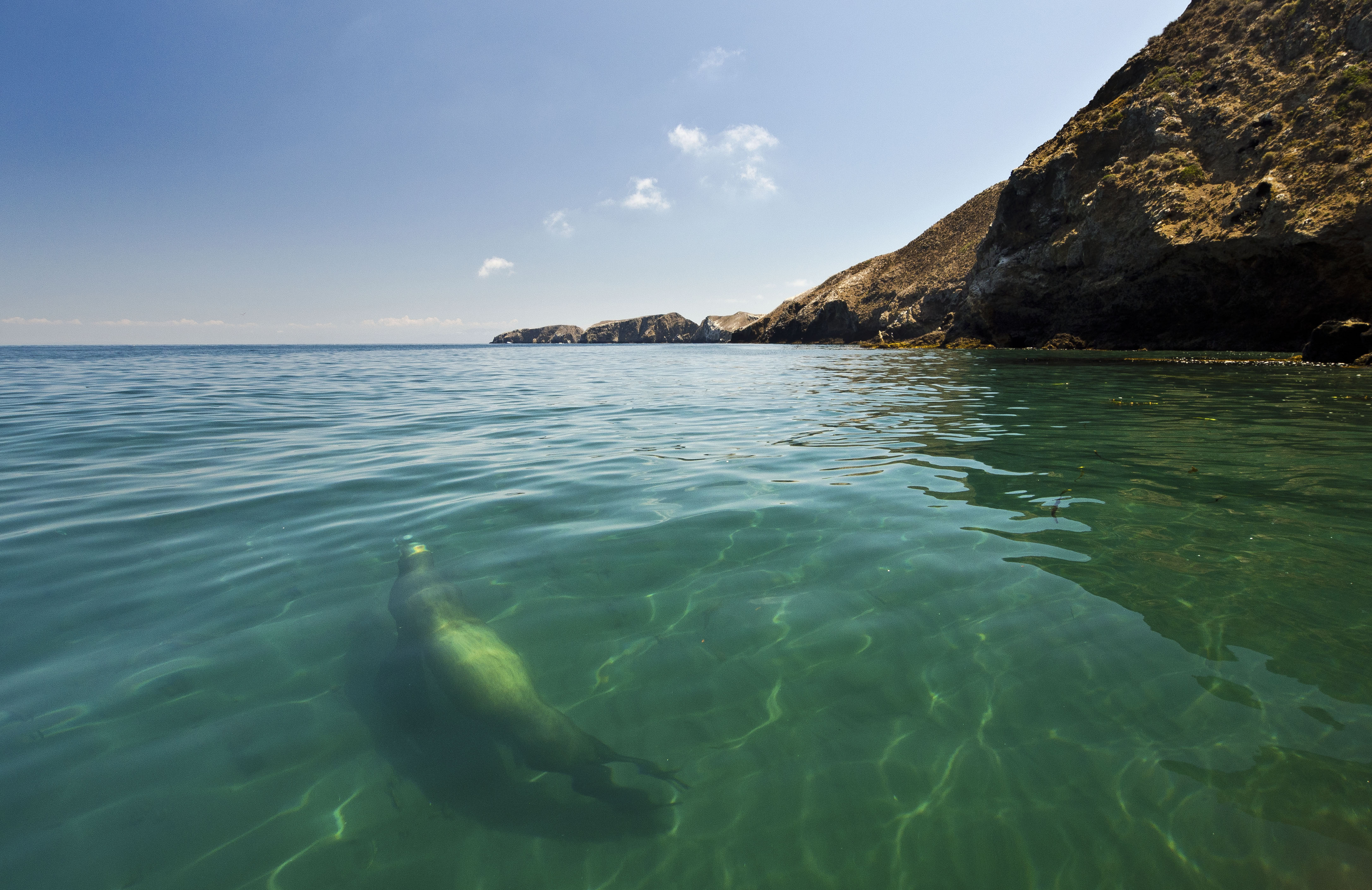 channel island photography