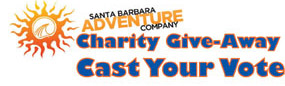 Charity Vote Charity Give-Away Cast Your Vote