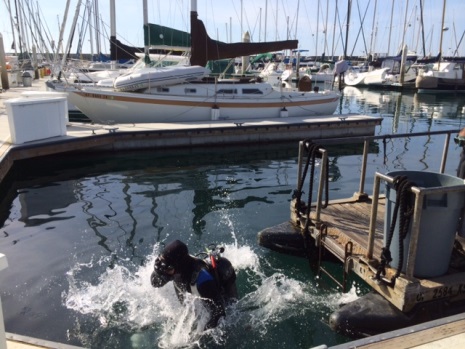 clean up diver in santa barbara