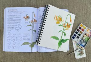 Nature Journaling