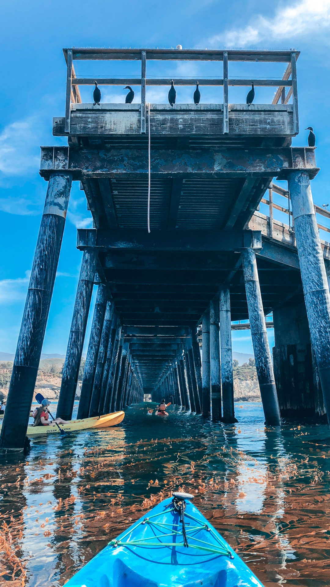 Sea Cave Kayaking
