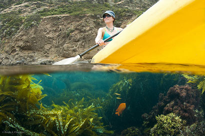 islands channel island kayak tours
