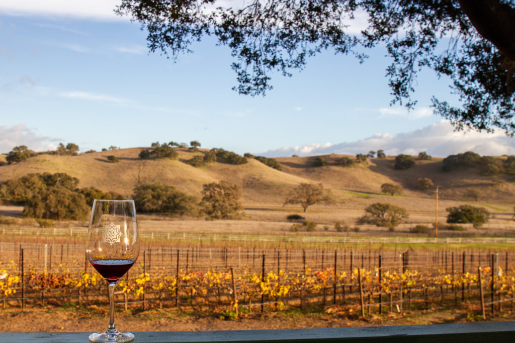 3) Wine Tour in the Santa Ynez Valley